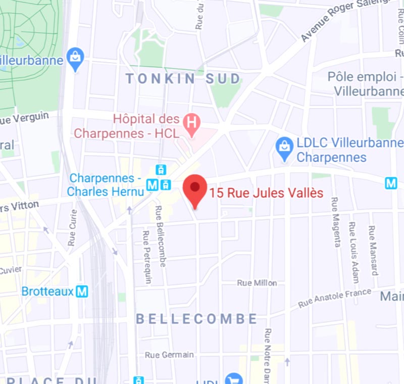 Carte Google Map de la location de l'adresse d'autocomplete